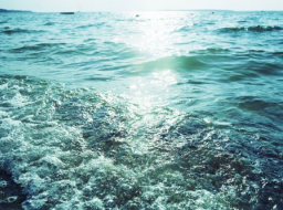 《市井聖徒》：市井之光