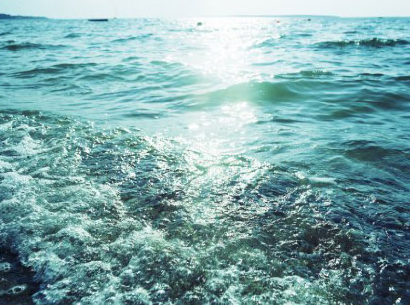 《市井聖徒》:市井之光