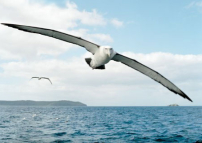 靈命的陶造：三月十三日