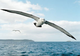 靈命的陶造：三月十三日