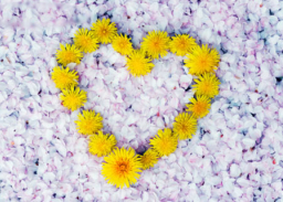 靈命的陶造：三月十四日