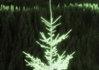 靈命的陶造：三月十七日