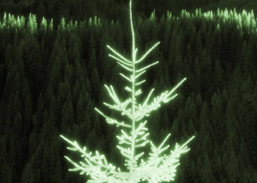 靈命的陶造：三月十七日