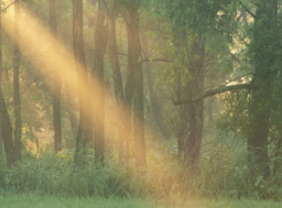 靈命的陶造：三月二十日