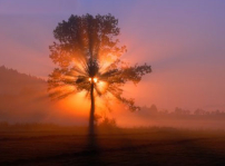 靈命的陶造:三月二十二日