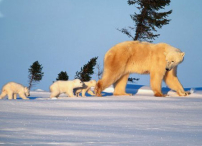 靈命的陶造:三月二十三日