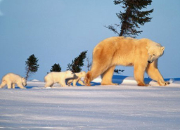 靈命的陶造：三月二十三日