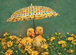 靈命的陶造:三月二十六日