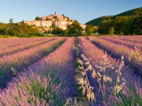 靈命的陶造：三月二十八日