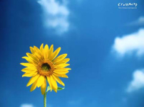 靈命的陶造:三月三十日