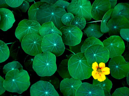 靈命的陶造：三月三十一日