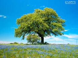 《市井聖徒》:「你不尊重我!」