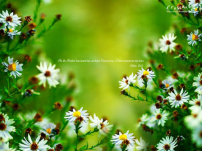 《市井聖徒》：活人的福音