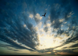 《市井聖徒》：義憤填膺