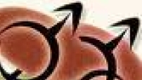 澳洲維多利亞省正式承認同性婚姻