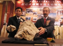 巨型木化石驚世出土 疑是挪亞方舟