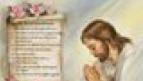 聖經查詢網站：《以弗所書》人氣指數最高