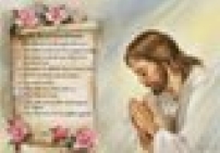 聖經查詢網站:《以弗所書》人氣指數最高