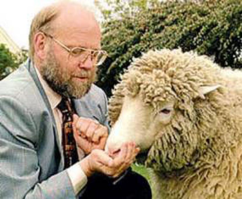 克隆羊之父宣佈放棄人類幹細胞克隆研究