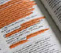 新特別版聖經 ——神對貧窮和不公義有話說