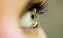 眼小眼壓高易患青光眼 亞洲人不容忽視