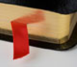 世界華人教牧領袖聯署《聖經中的救恩要點》 呼籲眾教會在真道上站穩