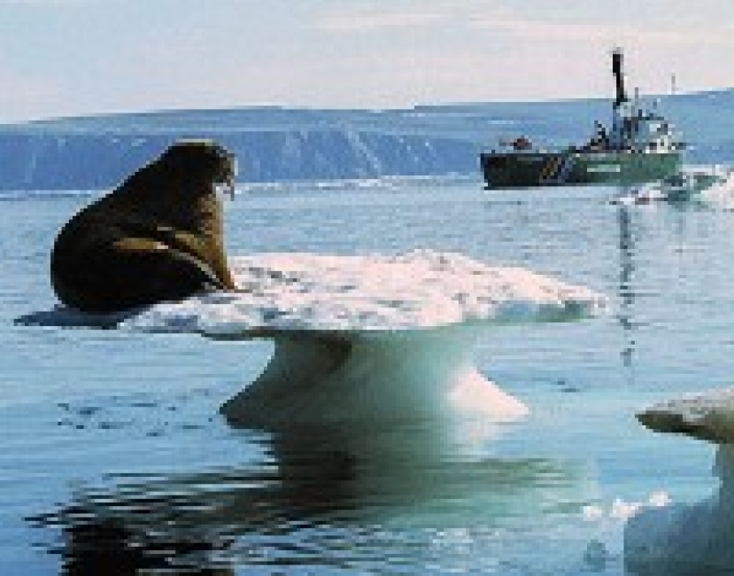 不少亞洲大城面臨氣候變化和海水上漲威脅