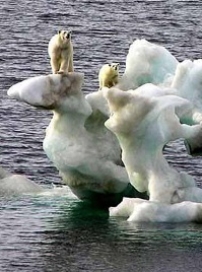 「國際地球母親日」昨誕生 提醒人類保護地球