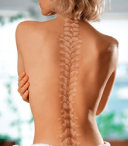 【現代養生】人體結構的根基