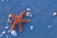 如何令世界更美好？