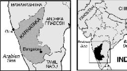 5月15日 賽‧巴巴 Sai Baba 教派