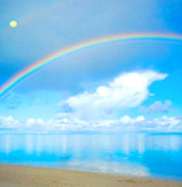 學習態度——沒有挫敗,只有回應