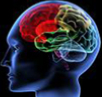 智商(IQ)、情緒智商(EQ)、逆商(AQ) 重要嗎?