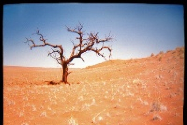 傳道人如何預防耗竭