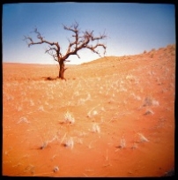 傳道人如何預防耗竭