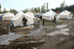 土耳其地震死亡人數上升至523人