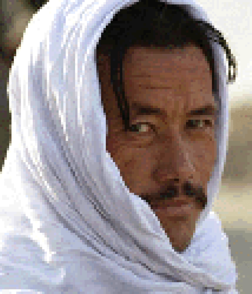 11月13日 阿富汗 哈紮拉人 Hazara