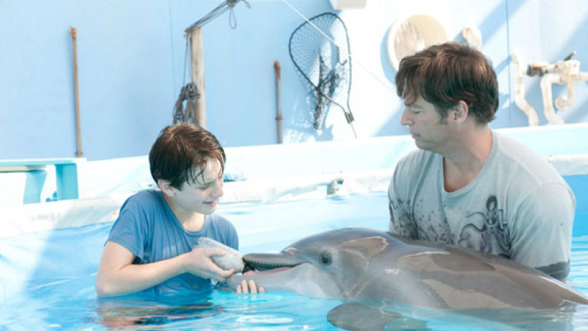 《海豚的故事》少年演員談家庭與人生態度