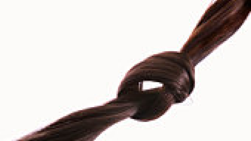 【健髮日誌】頭髮，你天生的「好夥伴」。