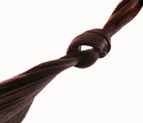 【健髮日誌】頭髮，你天生的「好夥伴」。