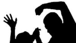 本港家暴數字上升 情侶同居亦求救