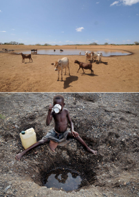 世界水日 展望會籲給東非孩子救命水
