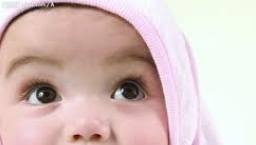 「為加國禱告網絡」籲為保障嬰兒生命法律定義禱告