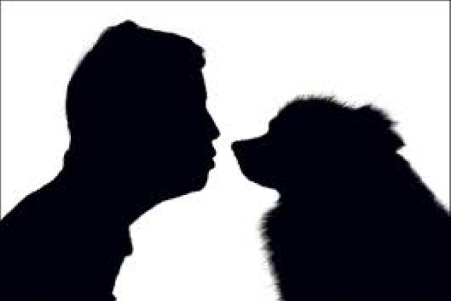 【和諧之歌】生活插曲