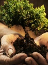 基督教資源機構:為教會傳福音狀況把脈診斷