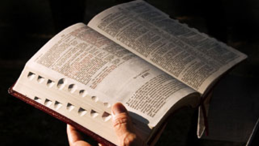 調查揭露八成美國信徒無每日讀經習慣