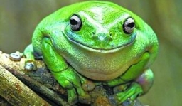 【和諧之歌】生活瑣記六則