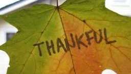 為神的呼召而感恩