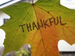 為神的呼召而感恩