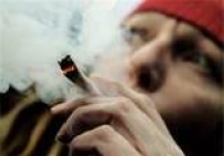 合法化,問題就解決嗎?!(一)